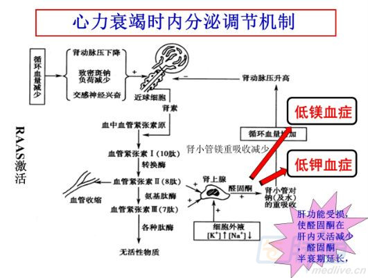 [GWICC2014]梁金锐:心衰治疗中的水电解质平