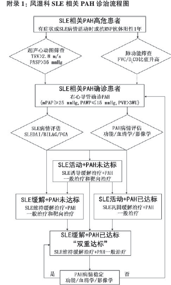 2015年中国成人系统性红斑狼疮相关肺动脉高压诊治共识要点
