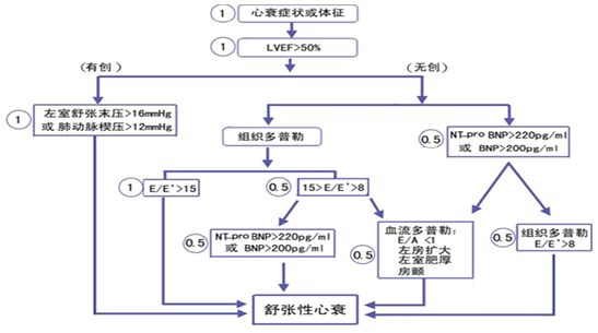 汪芳:舒张性心衰,1+1+1的诊断模式_舒张性心衰