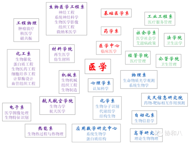 临床医学八年制排名