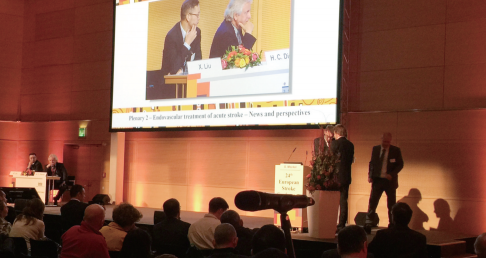 [ESC2015]2015ESC掠影:平静而不平淡