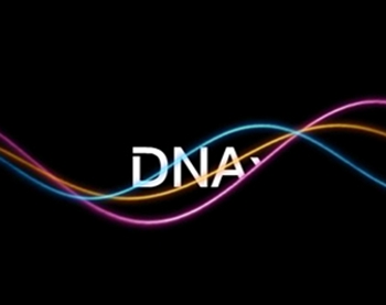 宫颈细胞DNA倍体分析检测宫颈病变的临床价