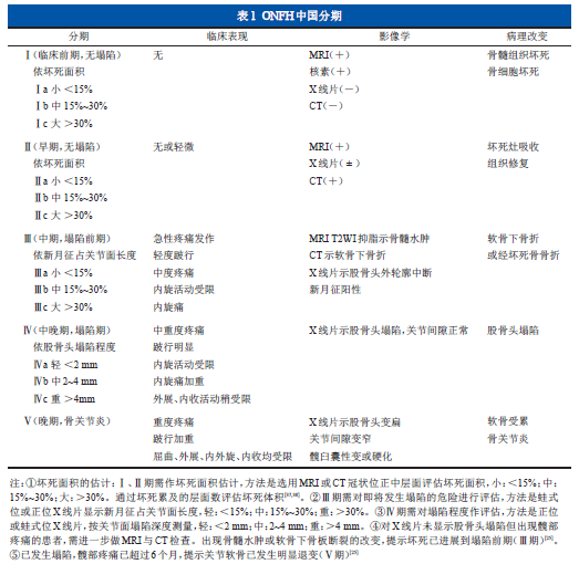 股骨头坏死临床诊疗规范_股骨头坏死_诊疗规