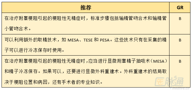 点击查看原图 2015 EAU:男性不育症诊疗指南(一) - gloryking3 - gloryking3的博客
