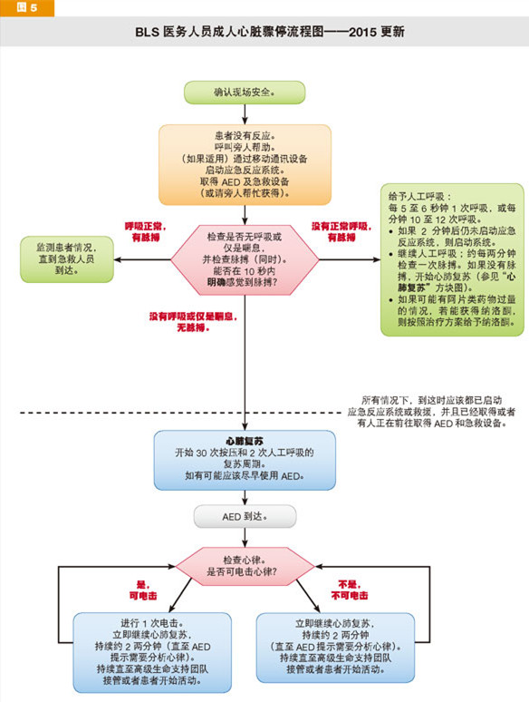 最新发布| 2015AHA心肺复苏和心血管急救指南