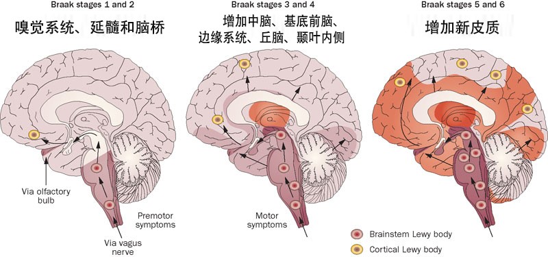 图片信息