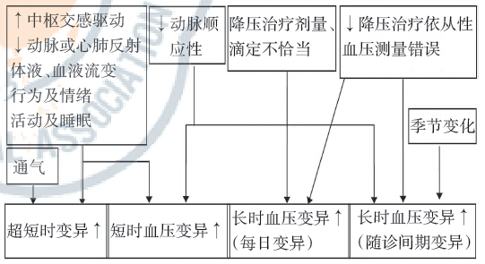 血压的原理_图2-10 血压的调节机制