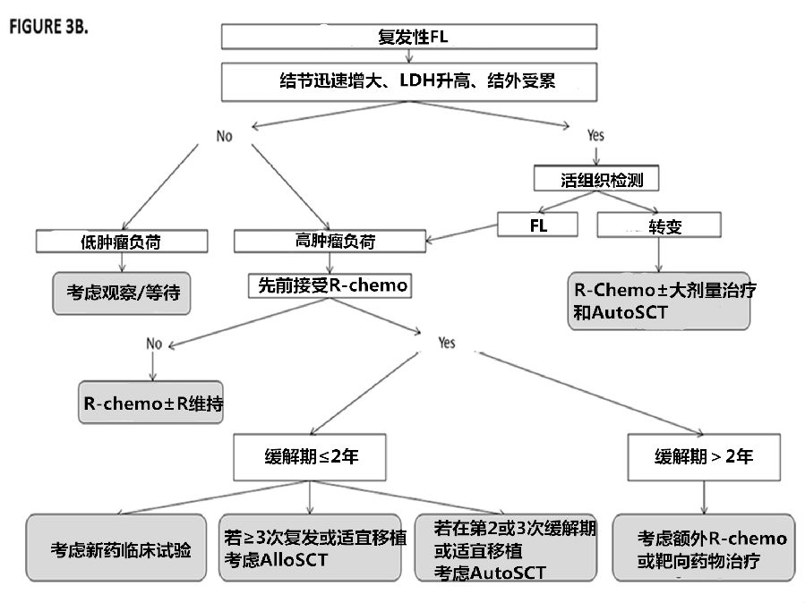 滤泡淋巴瘤:不同类型,不同治法_复发_滤泡淋巴