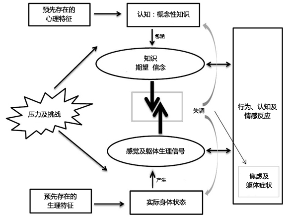 雾化吸入作用原理与适应症是什么_雾化治疗的作用是什么(3)