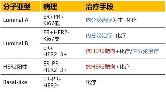 张频教授:晚期乳腺癌分类治疗策略_2016_乳腺