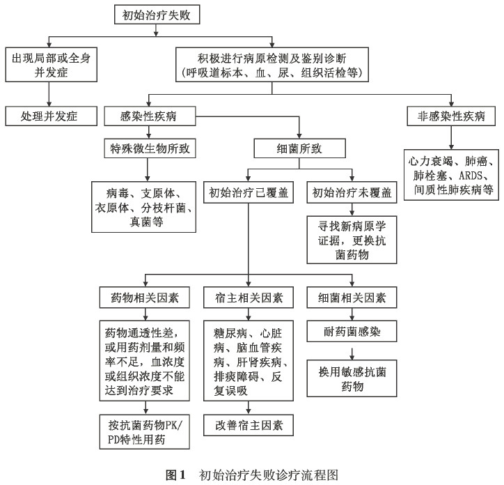 最新版中国成人社区获得性肺炎诊治指南发布