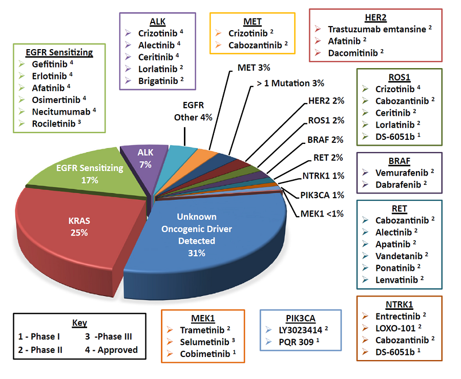 [IASLC]2015肺癌年度进展:Ⅰ-Ⅲ期NSCLC病理