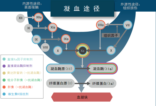 四药联合用于门诊无痛宫腔镜下通水术