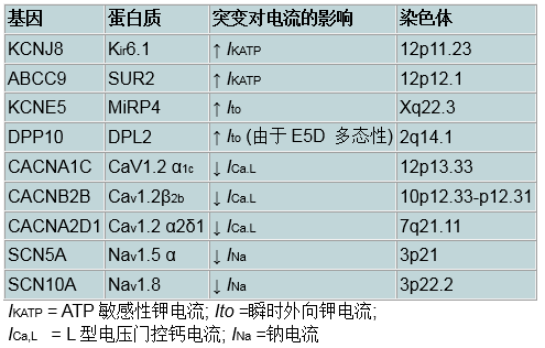 [综述]早期复极综合征的诊断与治疗_早期复极