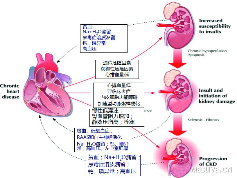 生理影响_生理影响_时差对人体的生理时钟影响