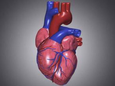 美国疾控中心紧急通知心脏搭桥手术设备可能细