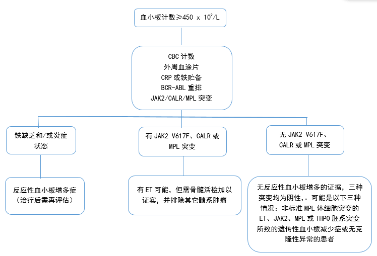 Blood:如何诊断原发性血小板增多症_原发性血