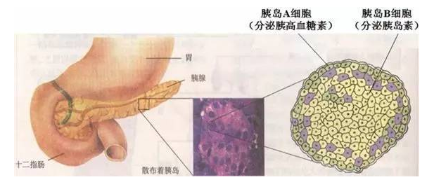 圖片信息