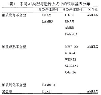 图片信息