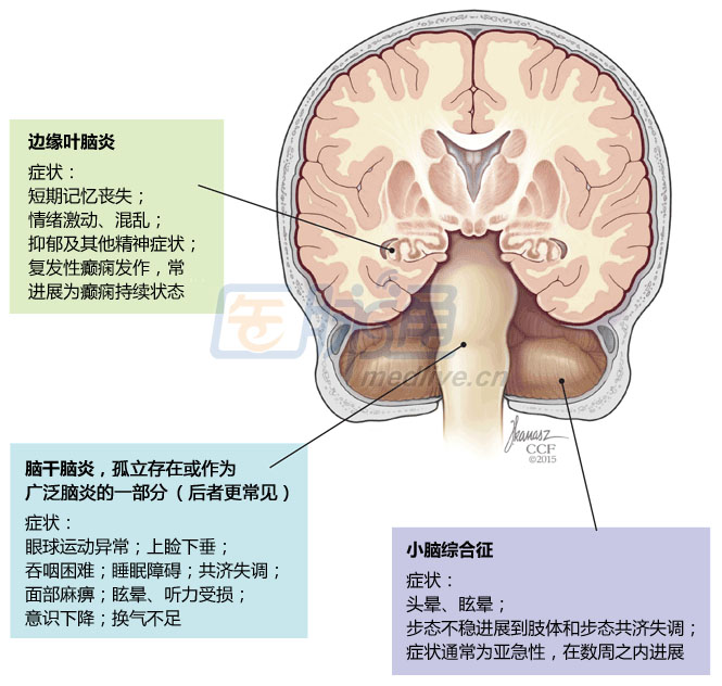 图片信息