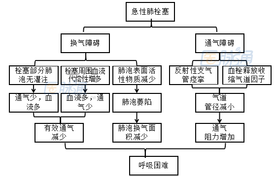 两张图读懂肺栓塞的血流及气流改变