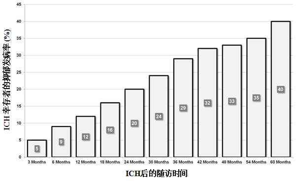 图片信息