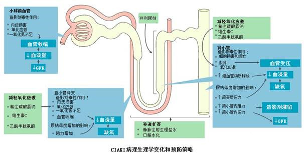 雾化吸入作用原理与适应症是什么_雾化治疗的作用是什么(3)