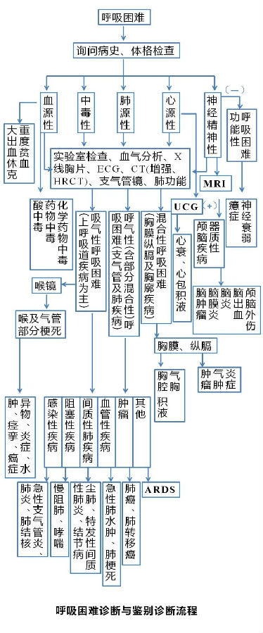 图文并茂深扒呼吸困难背后的「真相」