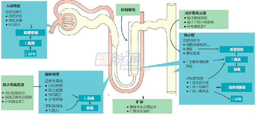 预防原理是什么_预防传染病手抄报(3)