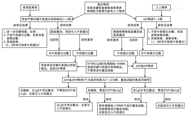 食物过敏相关消化道疾病诊断与管理专家共识_