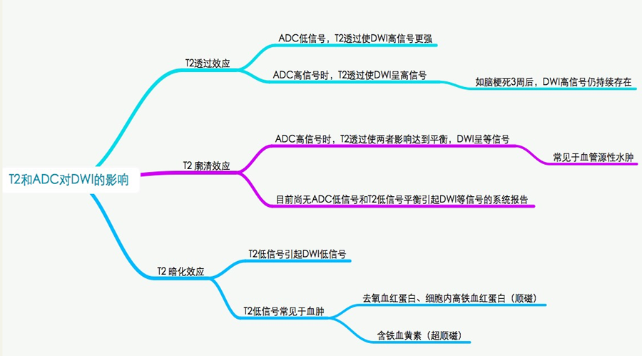 一文理清脑梗死DWI表现|临床基础_脑梗死_DW