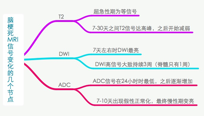 一文理清脑梗死DWI表现|临床基础_脑梗死_DW