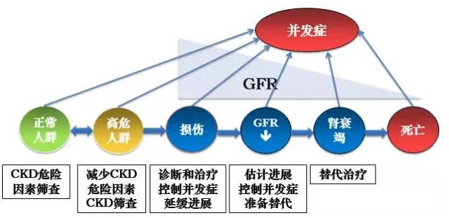 慢性肾脏病一体化管理策略_慢性肾脏病_透析