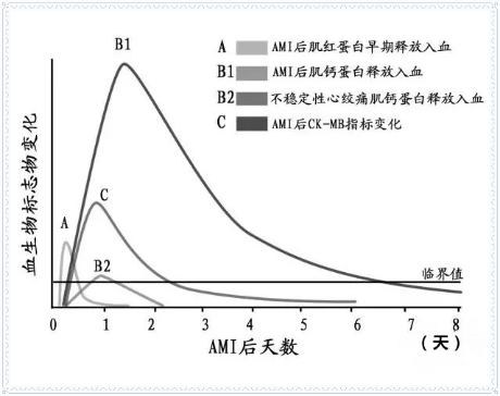 深度解读心肌损伤标记物_心肌损伤标记物_肌