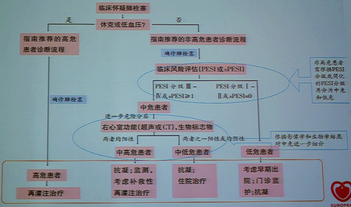 急性肺栓塞危险分层管理策略