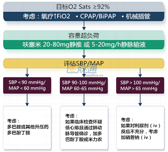 急慢性心力衰竭:临床管理流程图_心力衰竭_流