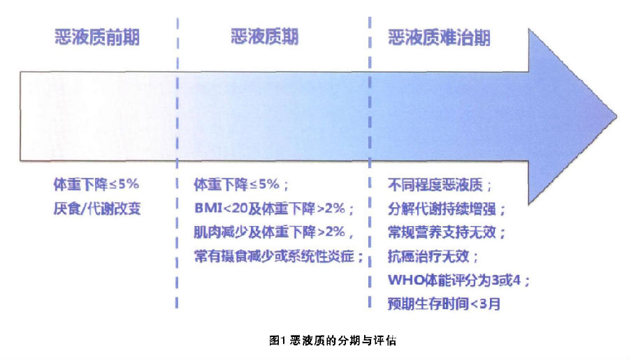 肿瘤恶液质:这7个关键词就搞定了_肿瘤恶液质