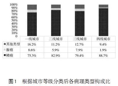 新疆汉族人口比例