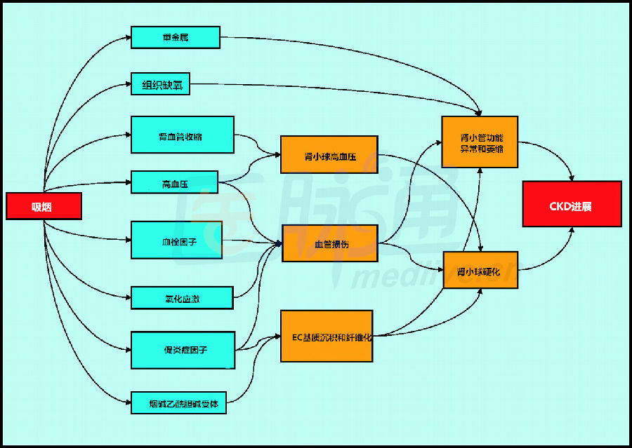 戒烟药的原理_大烟枪戒烟药有效的戒烟神器戒烟产品戒烟液灵戒烟贴烟霸