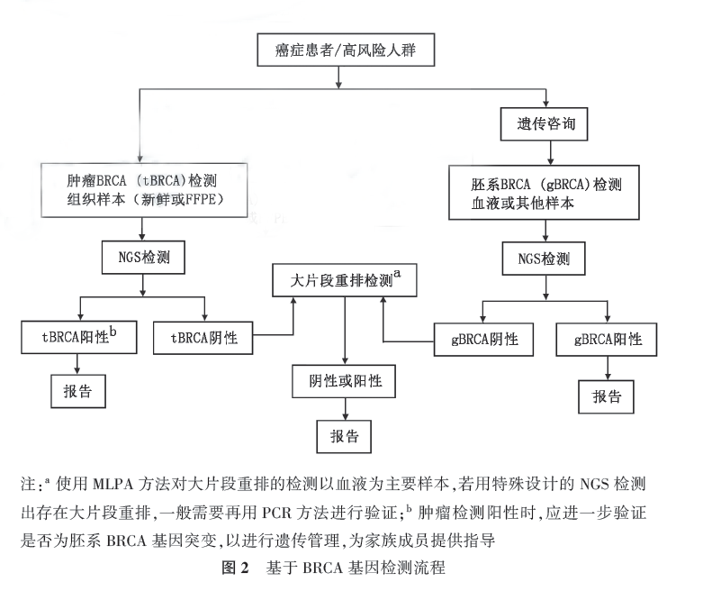 基因检测运营流程,基因检测流程