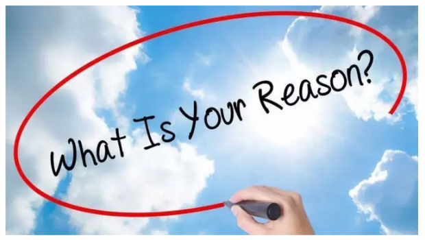 养蜂收入怎么样_广州医生收入怎么样(3)