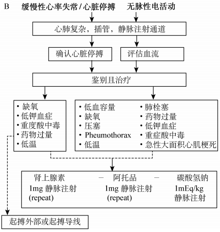 关于心脏性猝死,这份教材比指南更实用!