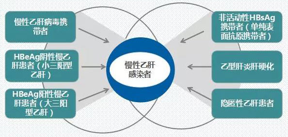 肝功能gdp_肝功能化验单(3)