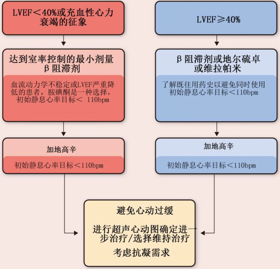 房颤中的心室率控制:当代观点
