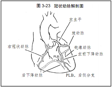 图文详解:心肌缺血和梗死的心电图