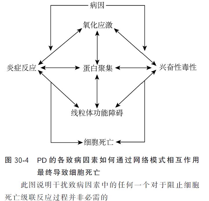 帕金森病的病因,机制,病理生理及治疗,你想知道的都在