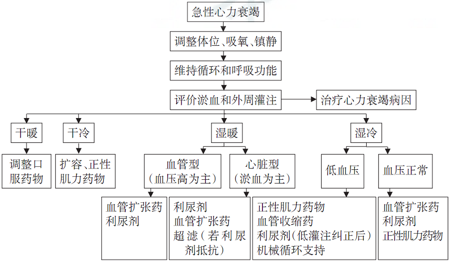 急性左心衰竭治疗流程图