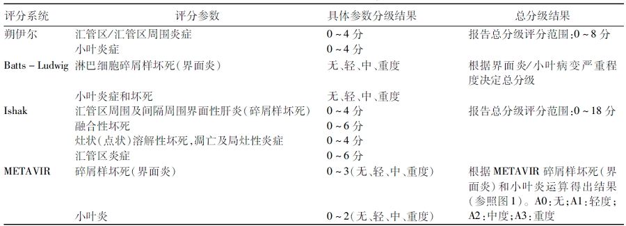 慢性肝炎病理学分级分期评分系统比较