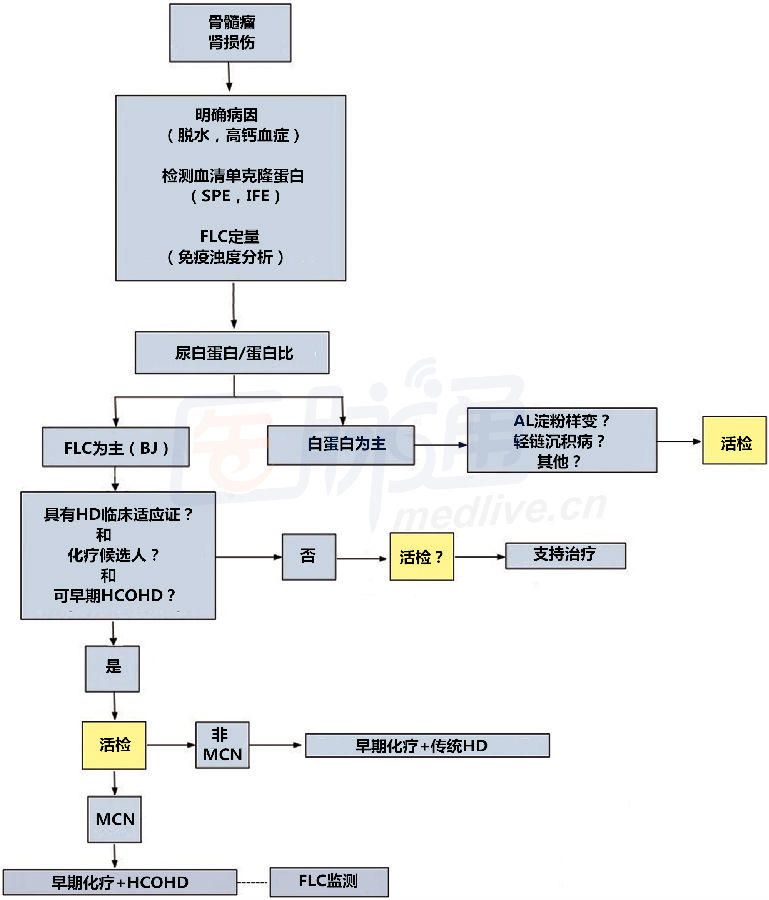 骨髓瘤肾损伤治疗流程图