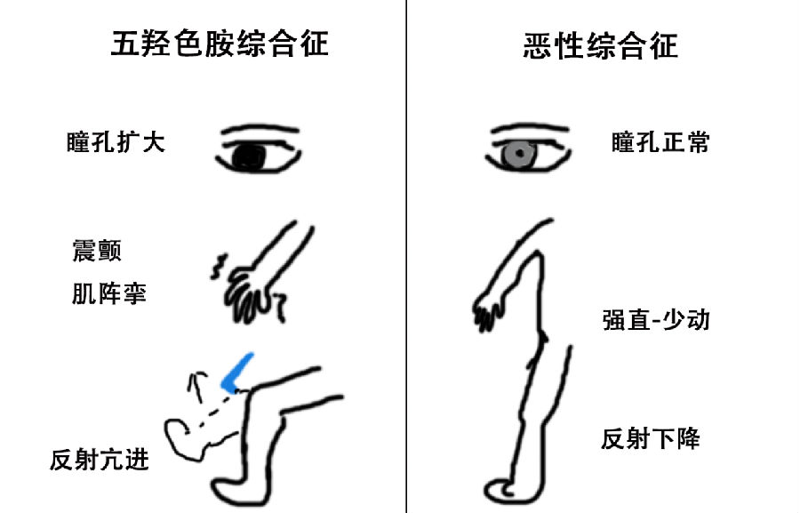 15447770092181.png
